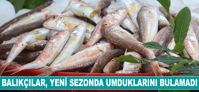 Balıkçılar, yeni sezonda umduklarını bulamadı