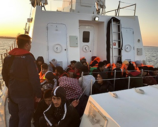 Edirne’de 66 düzensiz göçmen yakalandı