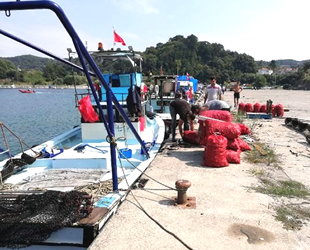 Balıkçılar rotayı salyangoza çevirdi