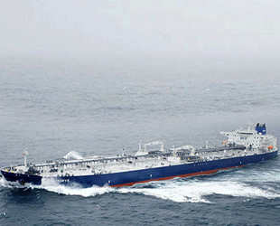 Rus doğalgaz üretici firmaları denizcilik şirketi kuracak