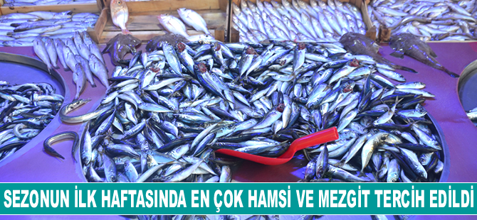 Sezonun ilk haftasında en çok hamsi ve mezgit tercih edildi
