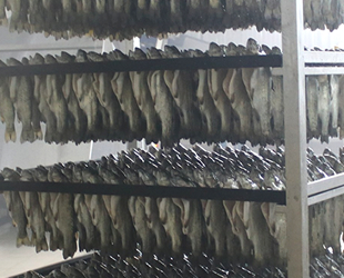 Denizli’den 80 ülkeye yıllık 6 bin ton tütsülenmiş balık ihracatı gerçekleştiriliyor