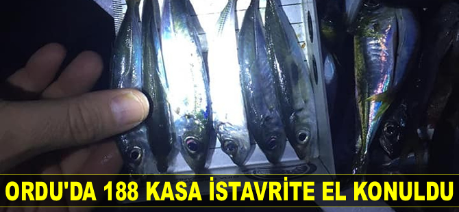 Ordu’da 188 kasa istavrite el konuldu