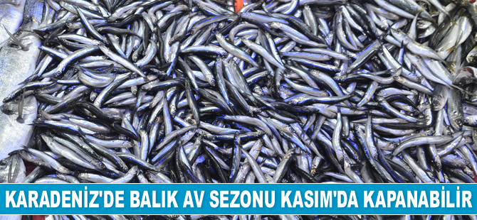 Hamdi Arslan, 'Balık av sezonu Kasım’da kapanabilir' uyarısı yaptı