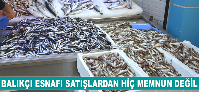 Balıkçılar, Karadeniz’de balık bulamıyor