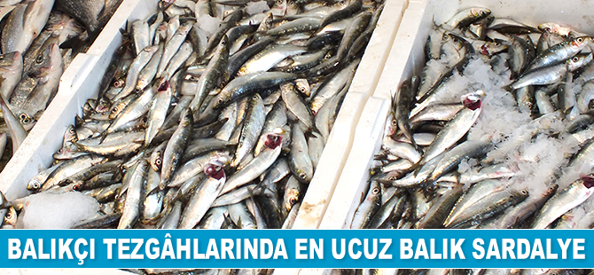 Denizde balık az olunca fiyatlar yükseldi