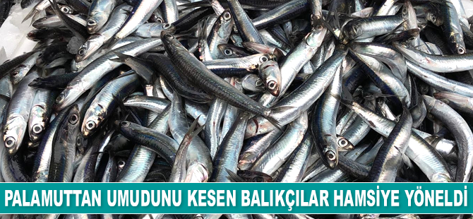 Palamuttan umudunu kesen balıkçılar hamsiye yöneldi