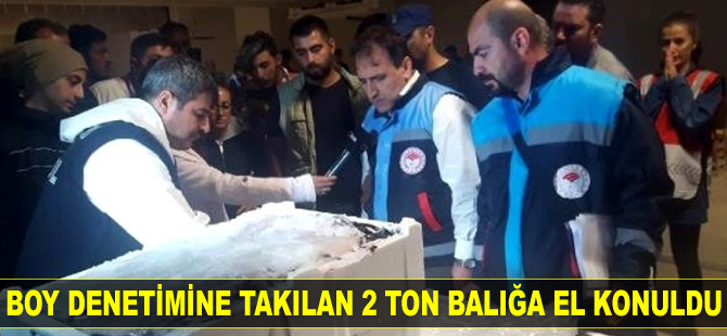 Boy denetimine takılan 2 ton balığa el konuldu