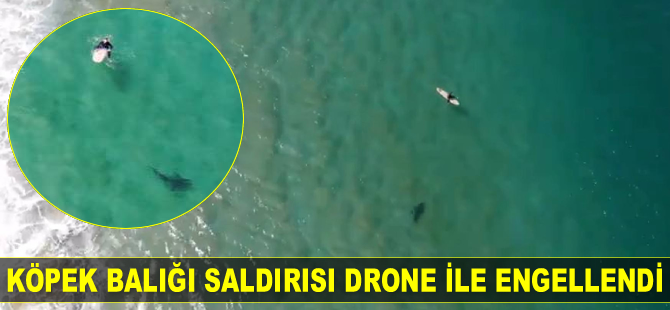 Christopher Joye, köpek balığı saldırısını drone ile engelledi