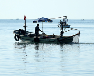 Batı Karadenizli balıkçılar, limana eli boş dönüyor