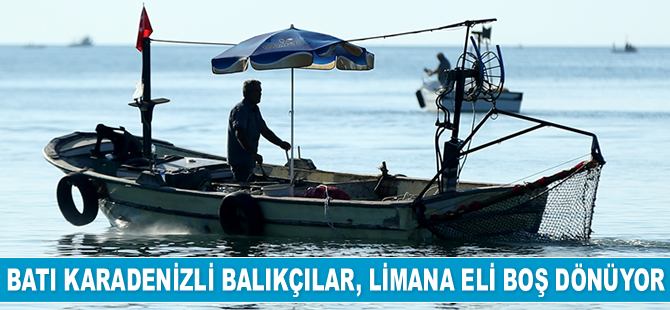 Batı Karadenizli balıkçılar, limana eli boş dönüyor