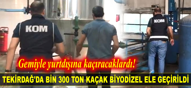 Gemi ile yurtdışına kaçırılmak istenen bin 300 ton kaçak biyodizel ele geçirildi