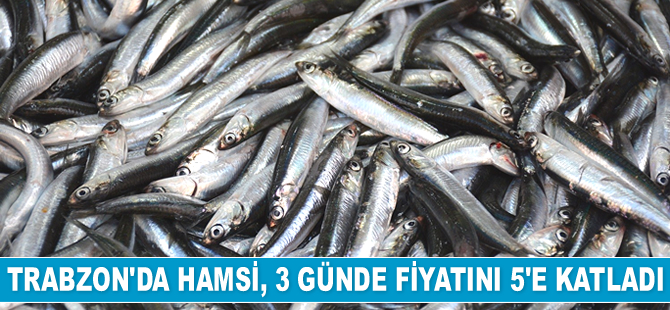 Hamsi, 3 günde fiyatını 5’e katladı