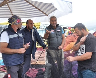 Japonya’dan ithal edilen sonar makineleri balıkları yok ediyor