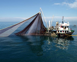 Av yasağı sona erdi, denetimler arttı