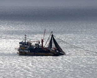 Trabzon'da balık boyutu limitlerine uymayan balıkçılara para cezası kesildi