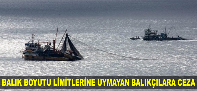 Trabzon'da balık boyutu limitlerine uymayan balıkçılara para cezası kesildi