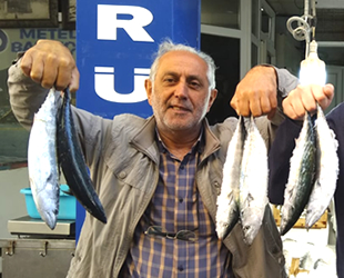 Karadenizli balıkçılar palamut avında umduklarını bulamıyor