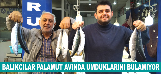 Karadenizli balıkçılar palamut avında umduklarını bulamıyor