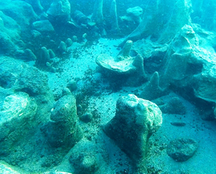 Van Gölü’nün Erciş sahillerinde su altı mikrobiyalitlere rastlandı