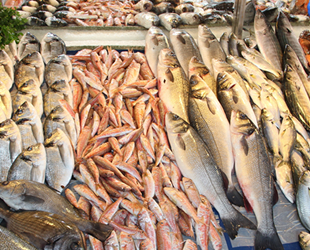 Su Ürünleri Kanunu’nda değişiklikler öngören teklif TBMM'ye sunuldu