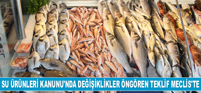 Su Ürünleri Kanunu’nda değişiklikler öngören teklif TBMM'ye sunuldu