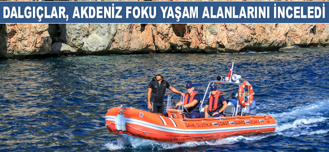 Dalgıçlar, Akdeniz foku yaşam alanlarını inceledi
