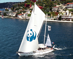 Blue Panda denizlerdeki plastik kirliliğine dikkati çekiyor