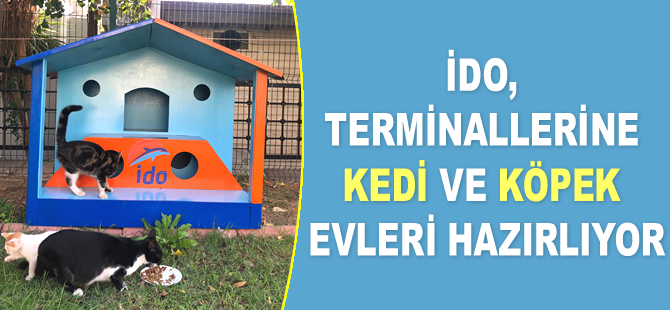 İDO, terminallerine kedi ve köpek evleri hazırlıyor