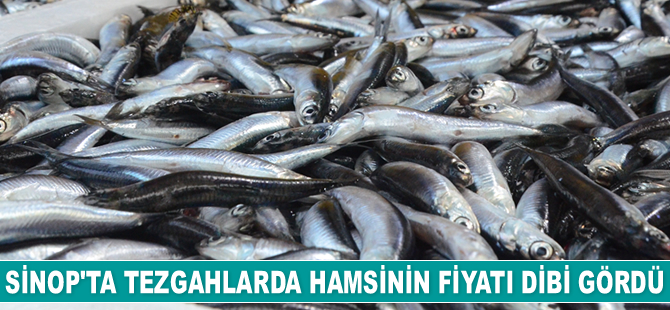 Sinop'ta tezgahlarda hamsinin fiyatı dibi gördü