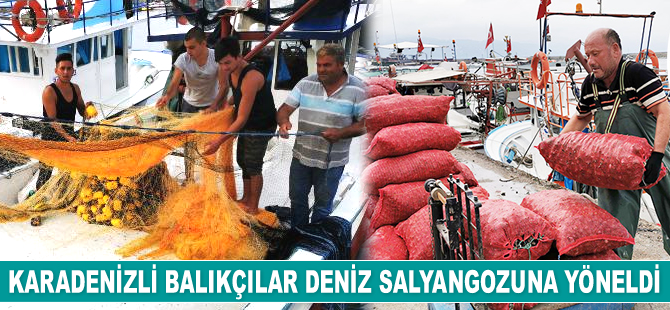 Karadenizli balıkçılar deniz salyangozuna yöneldi