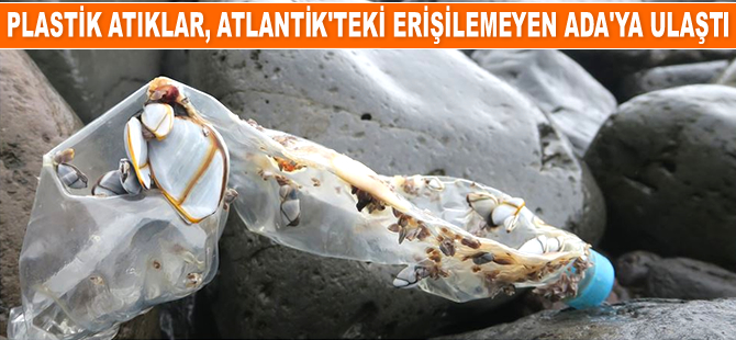 Plastik atıklar erişilemeyen Ada'ya ulaştı