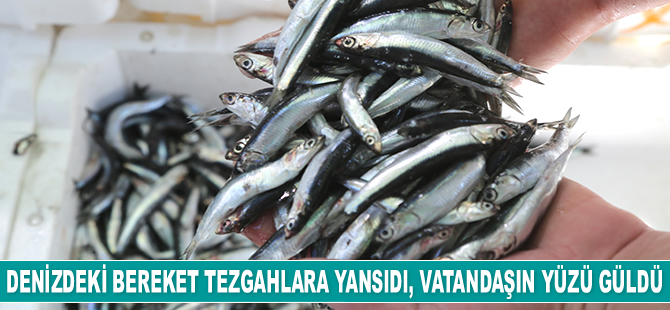 Denizdeki bereket tezgahlara yansıdı, vatandaşın yüzü güldü
