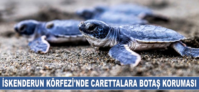 BOTAŞ, Uluslararası Yeşil Dünya Ödülleri'ne 4 ödül ile damga vurdu