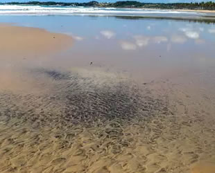 Brezilya kıyılarında 100 ton fazla petrol sızıntısı tespit edildi