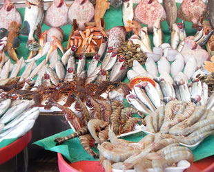 Su Ürünleri Kanunu'nda değişiklik teklifi komisyonda kabul edildi