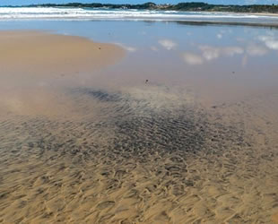 Brezilya'da ‘petrol sızıntısı’nın kaynağı araştırılıyor