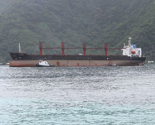 ABD, el koyduğu ‘Wise Inest’ isimli Kuzey Kore kargo gemisini sattı