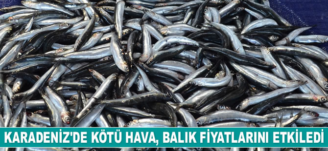 Karadeniz’de kötü hava, balık fiyatlarını etkiledi