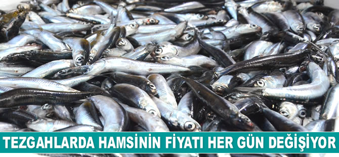 Tezgahlarda hamsinin fiyatı her gün değişiyor