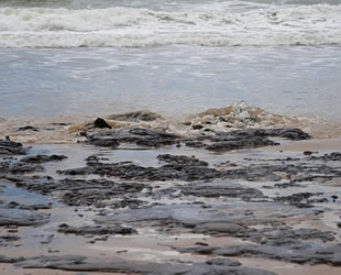 Brezilya'daki petrol sızıntısı 150 plajı kirletti