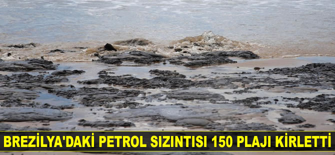 Brezilya'daki petrol sızıntısı 150 plajı kirletti