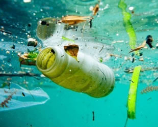 2050'de denizlerdeki plastik atıklar balıklardan fazla olacak