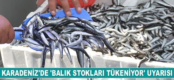Karadeniz'de 'balık stokları tükeniyor' uyarısı yapıldı