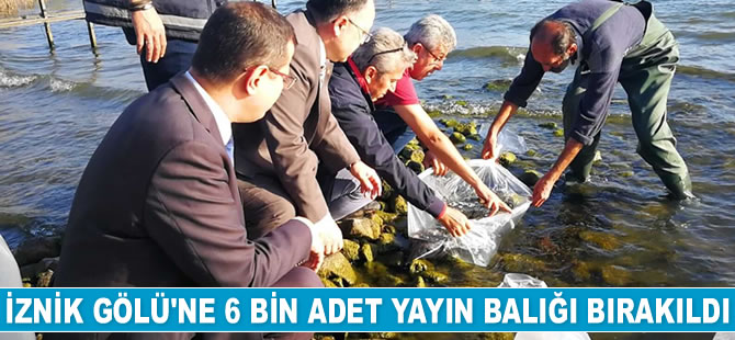 İznik Gölü'ne 6 bin adet yayın balığı bırakıldı