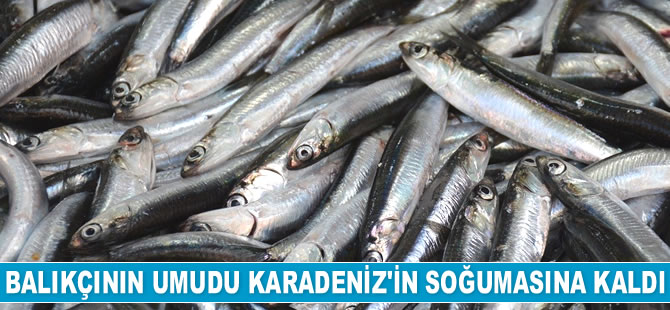 Balıkçının umudu Karadeniz'in soğumasına kaldı