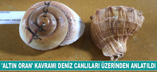 Adana’da ‘Altın Oran’ konferansı düzenlendi