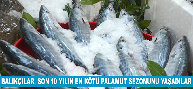 Doğu Karadeniz'de palamut avı sona erdi