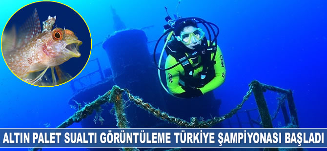 ‘Altın Palet Şampiyonası’, Kaş’ta başladı