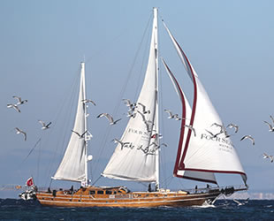 Yelken tutkunları Bodrum'da bir araya gelecek